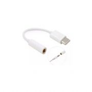 Cabo Adaptador Usb-C Para Fone Ouvido P2 F�mea 3.5mm - CAB124
